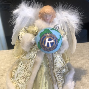 Team Page: Danvers Kiwanis Rock Stars